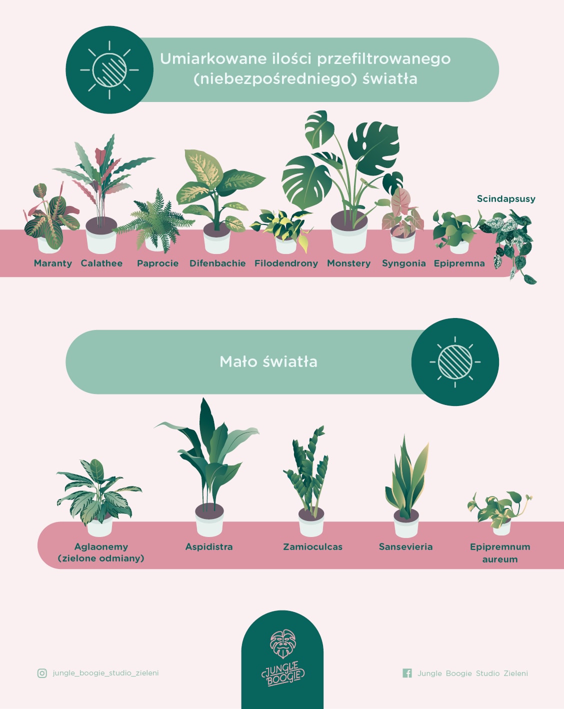 Ile dostarczać światła różnym gatunkom roślin?
